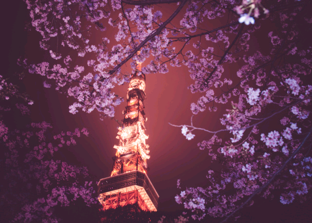 潜派旅行