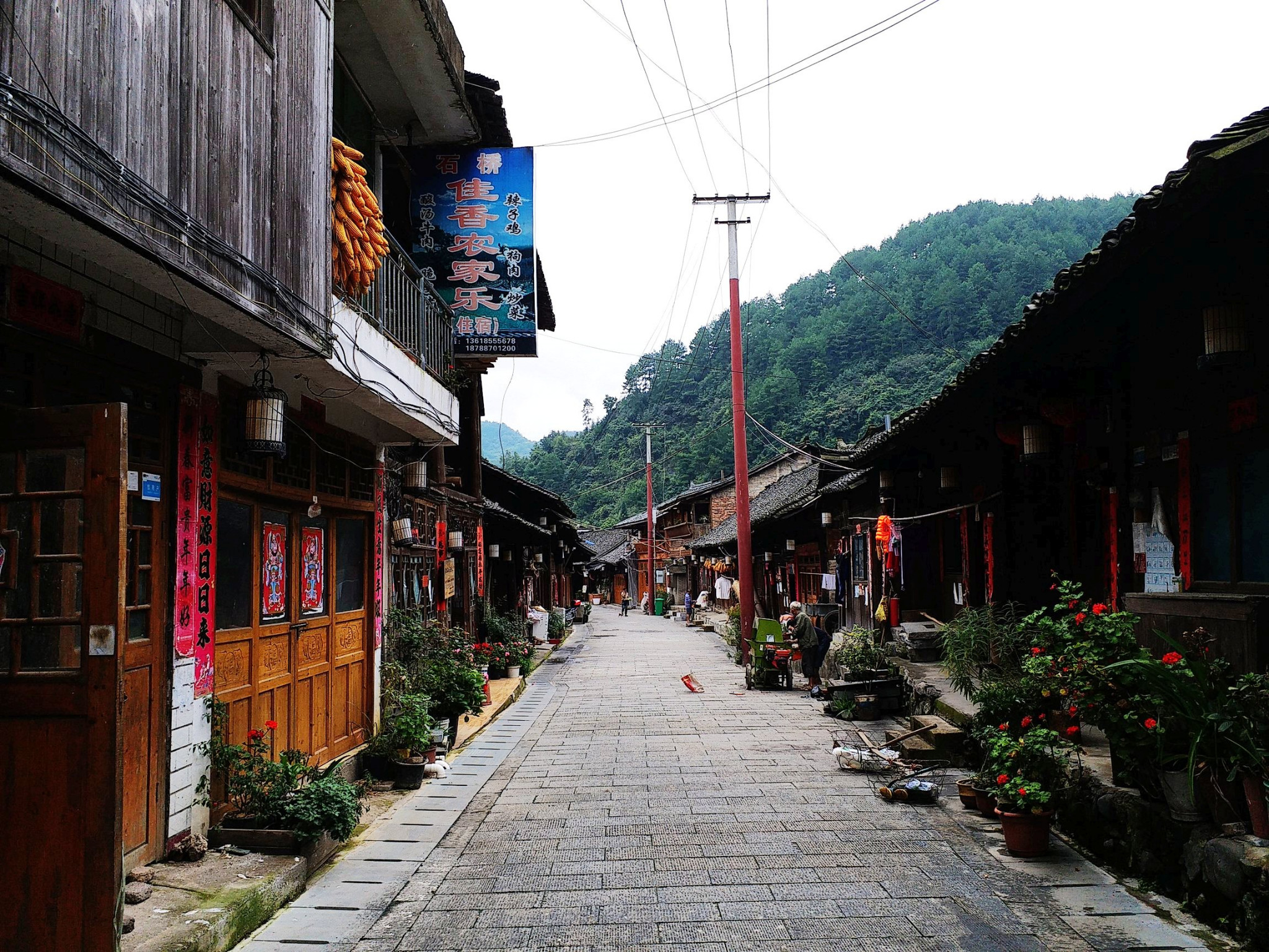 雅王村人口_雅王村六华坡(3)