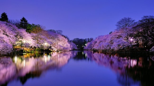 潜派旅行