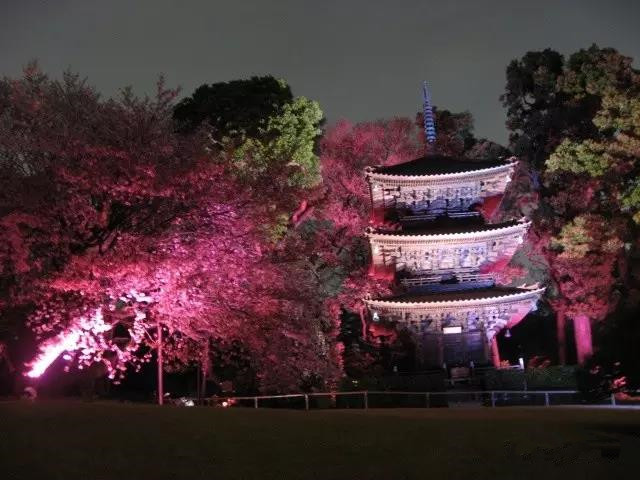 潜派旅行