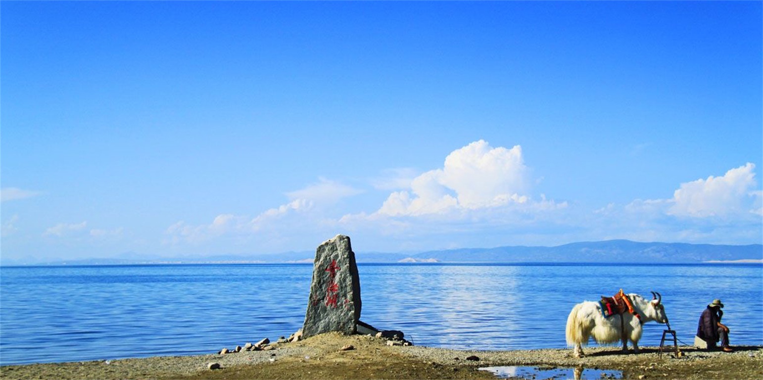 大沙湖人口_大梅沙湖心岛平面图(3)