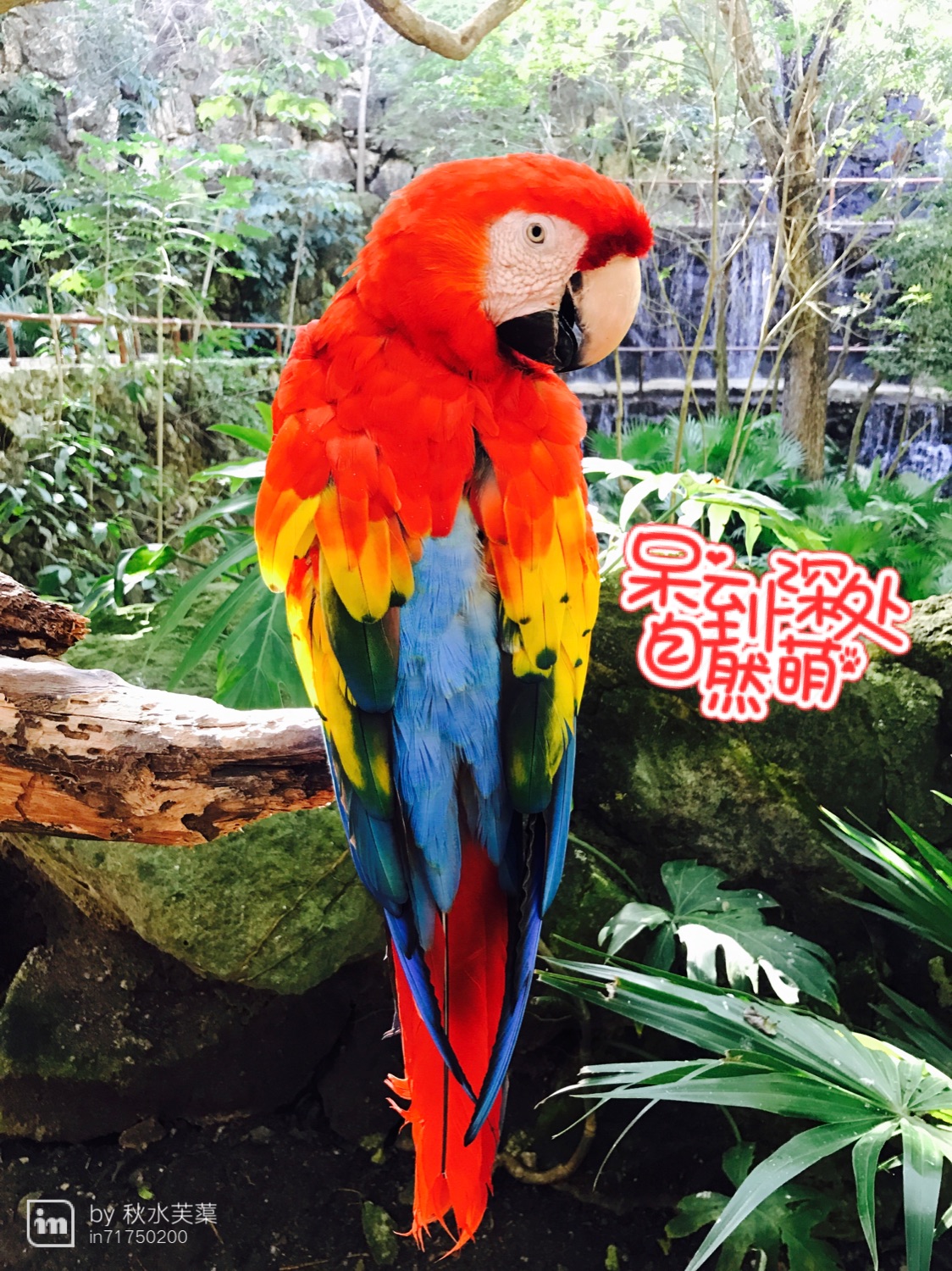 坎昆、奇琴伊察、西卡莱特_游记