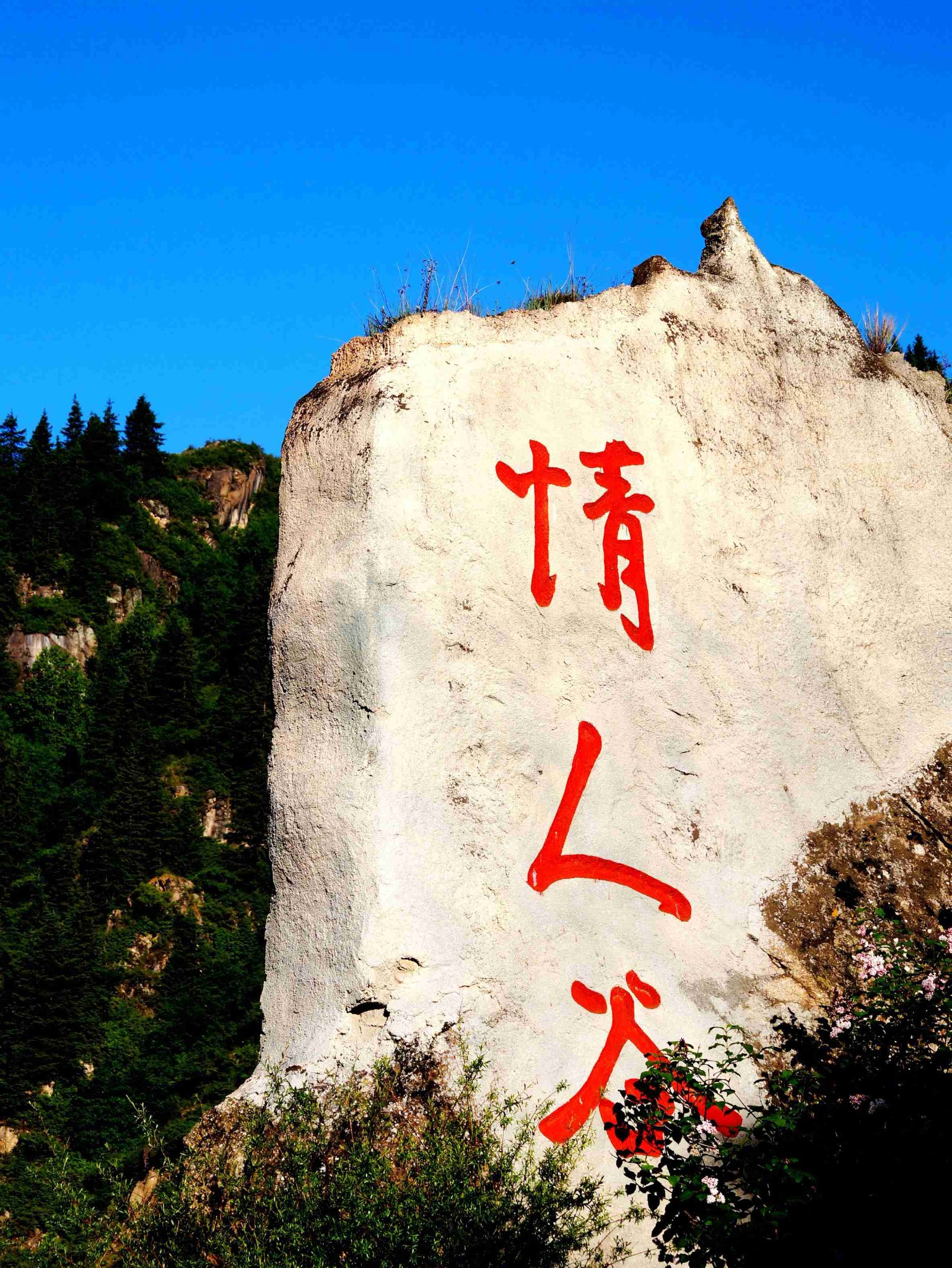 走,去山西看美景(3)--------芦芽山情人谷