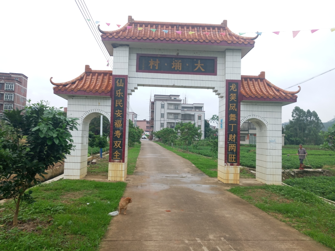 2019-5-4 早起宝圩巷口榕泉 初识那务星谷银湾,化州