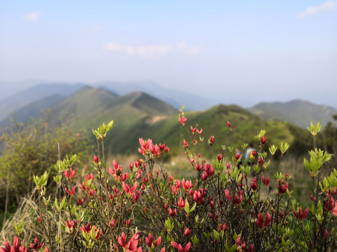 五一、浙西三尖徒步穿越_游记