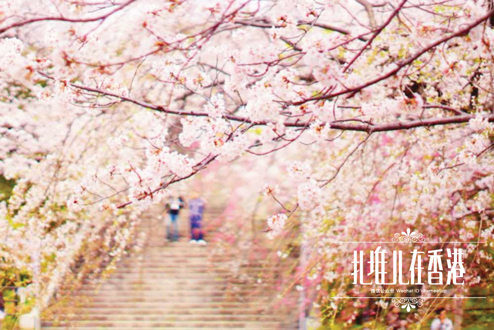 潜派旅行