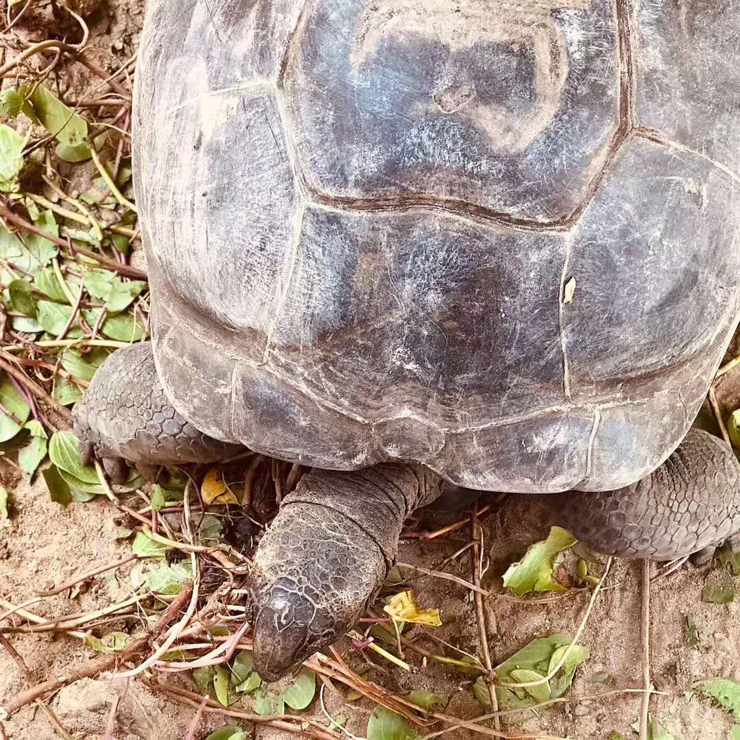 潜派旅行