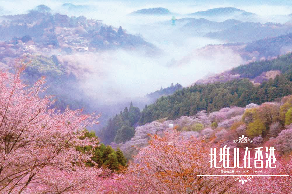 潜派旅行