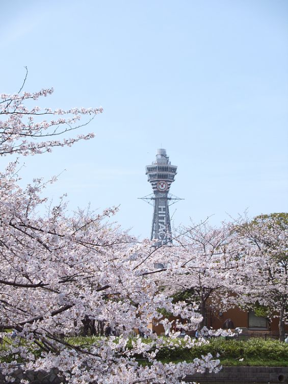 潜派旅行