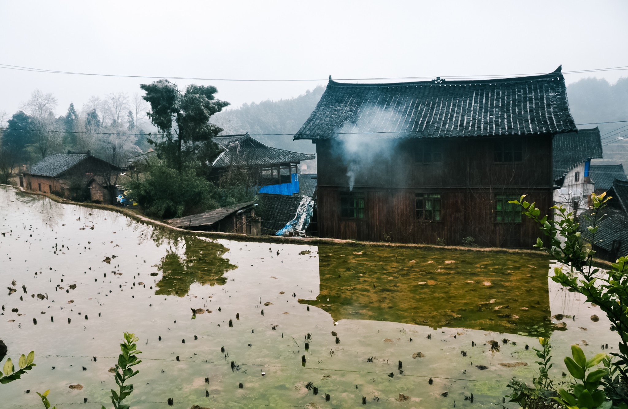 亻革族人口_亻革族图片