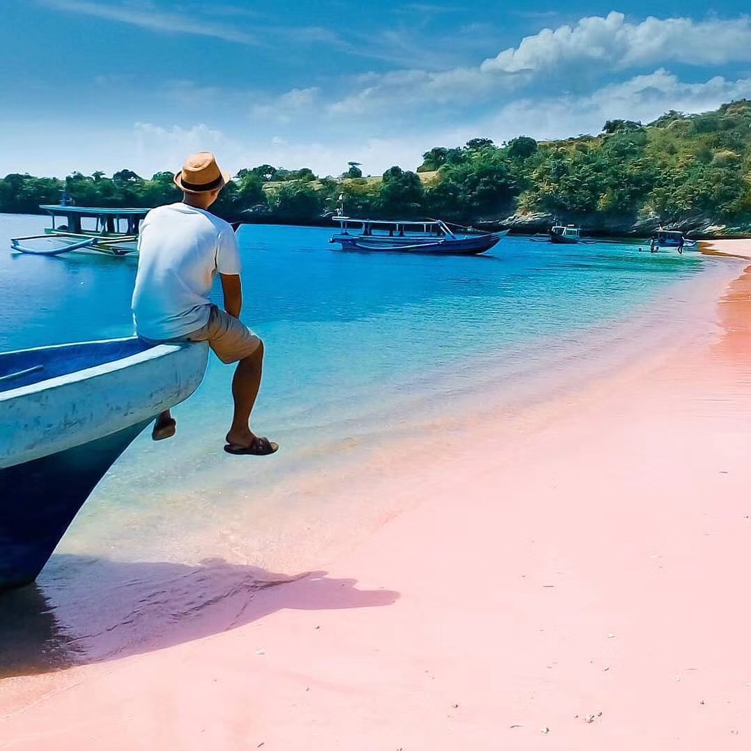 潜入科莫多，只为了那片粉色！,科莫多岛旅游攻略-游侠客社区