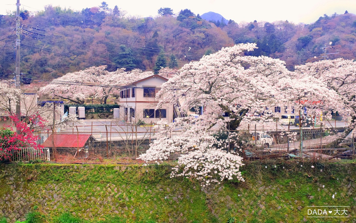 潜派旅行