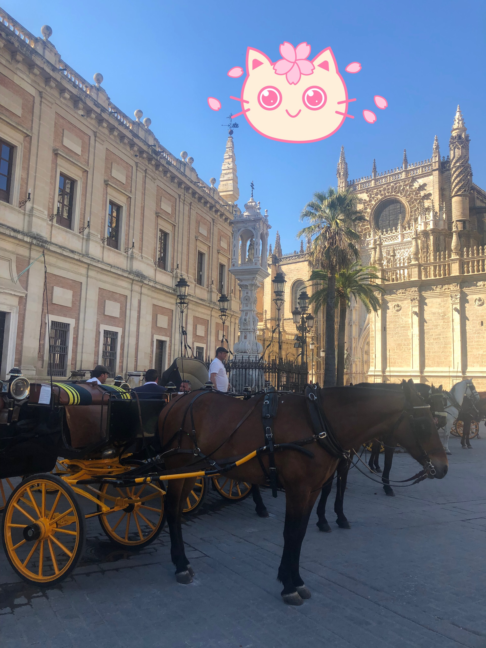 塞维利亚娱乐-Ricardo Carmona Suarez- Tour guide Seville