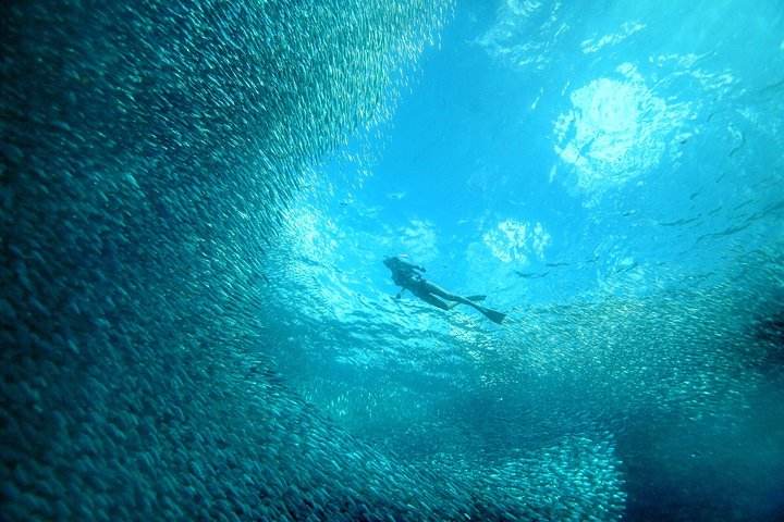 潜派旅行