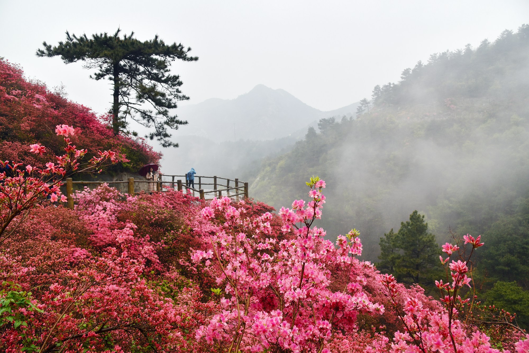 武汉黄陂云雾山,人间仙境名不虚传,四季皆风景