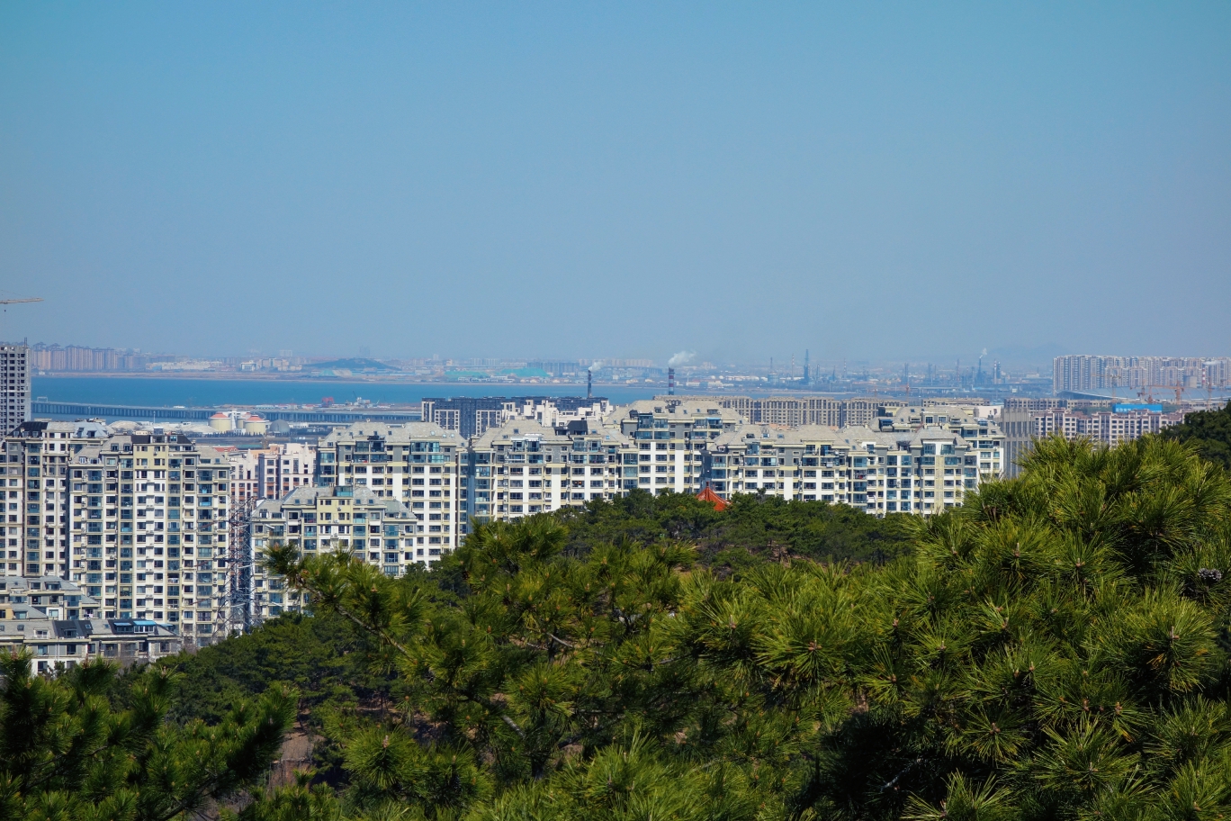 青岛北岭山森林公园