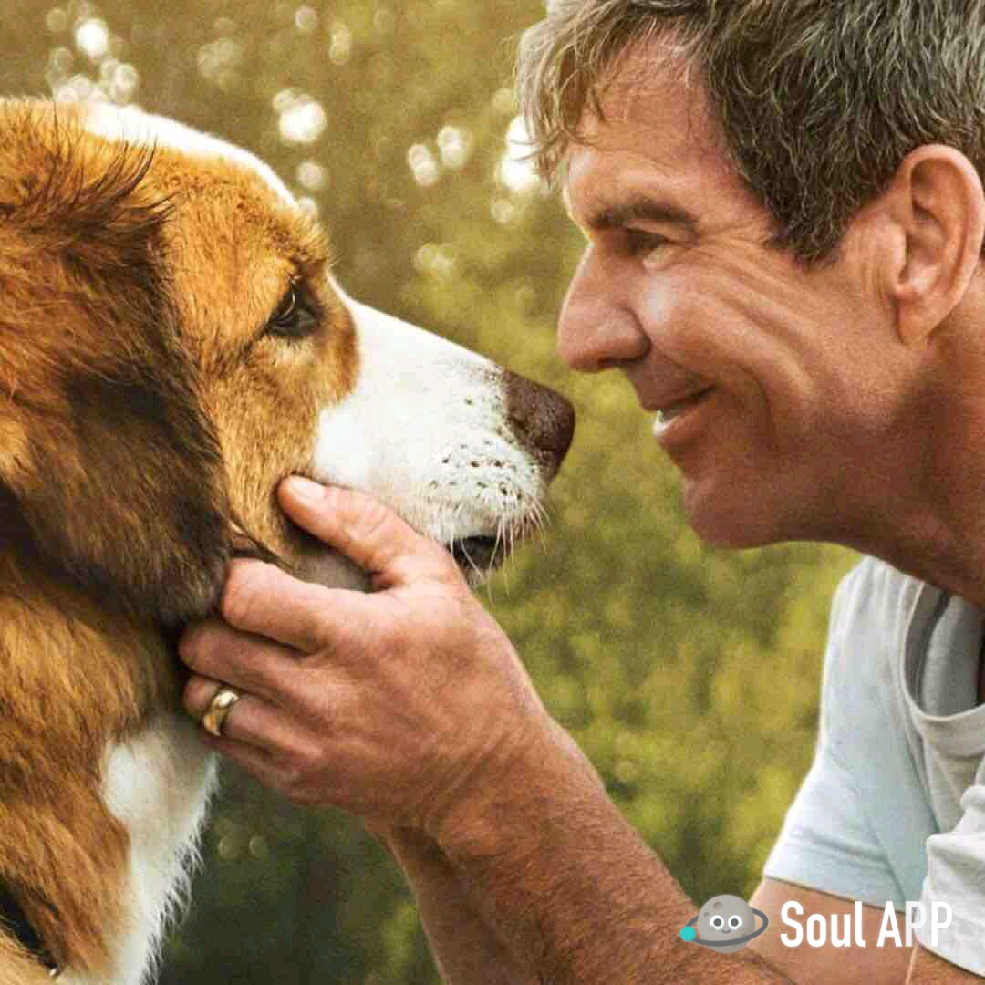 维也纳娱乐-电影院