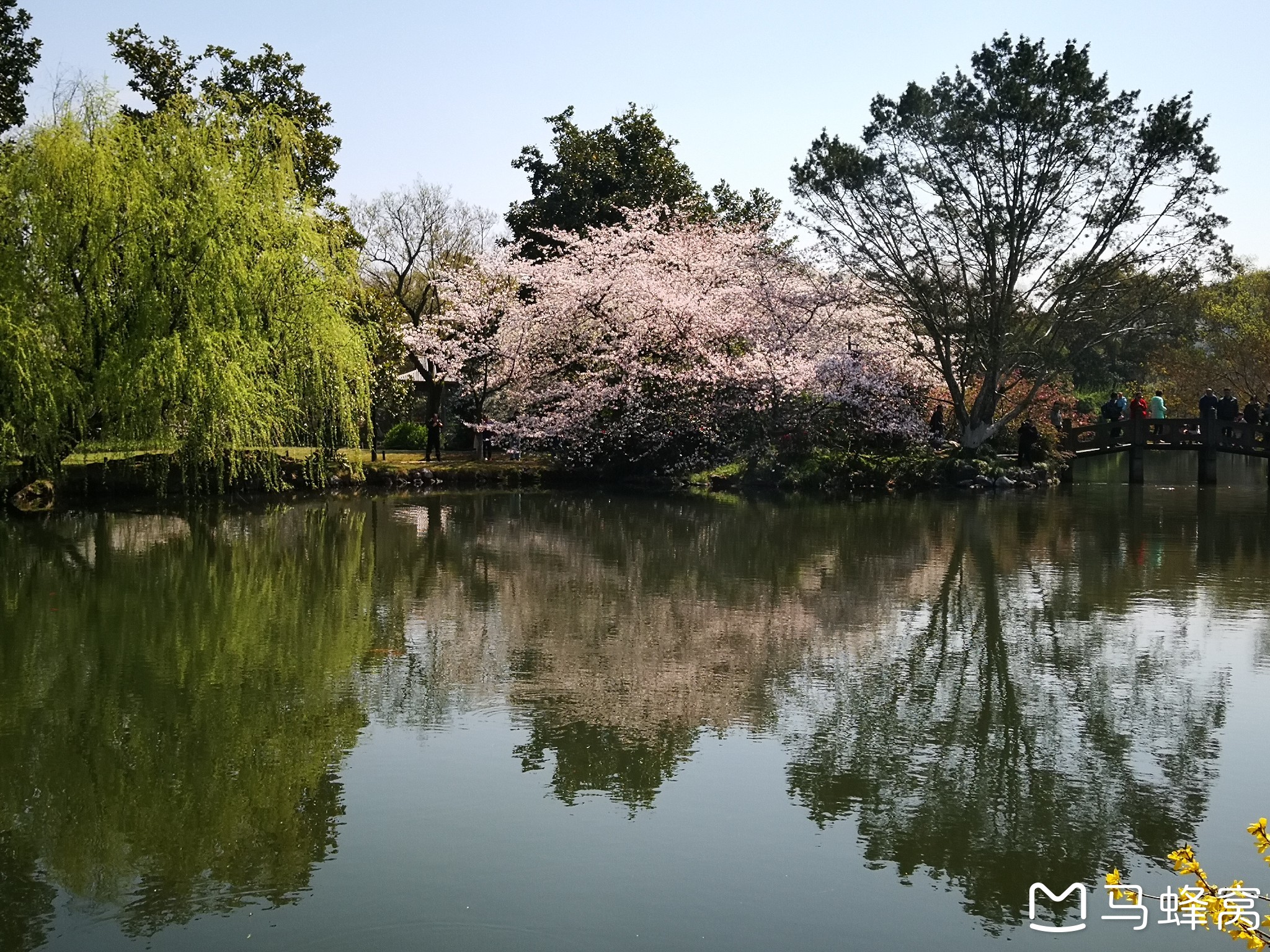 红鱼池 "揖湖"长廊 藏山阁 商铺 "花港观鱼"大门