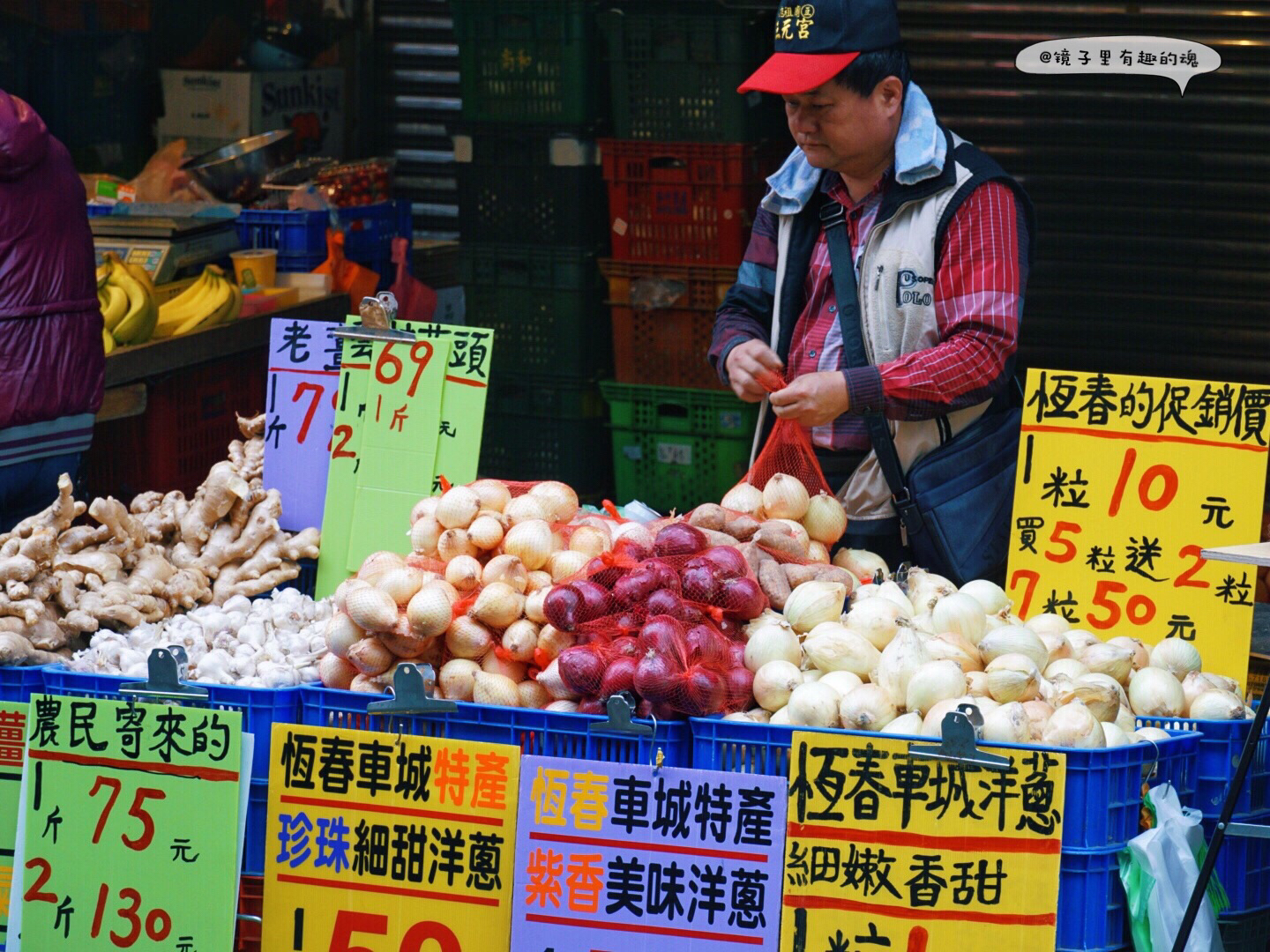 台中娱乐-桐花步道