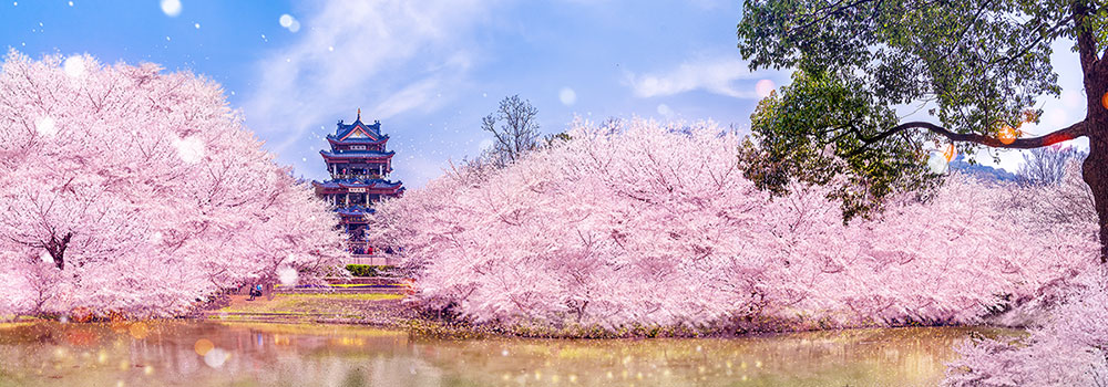 潜派旅行