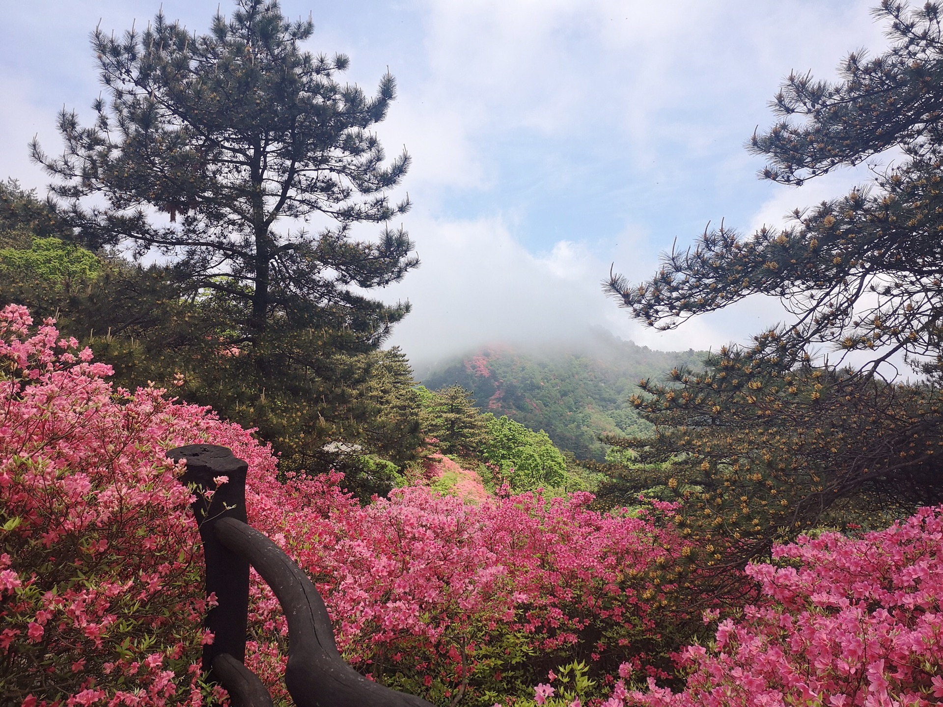 麻城龟峰山风景区