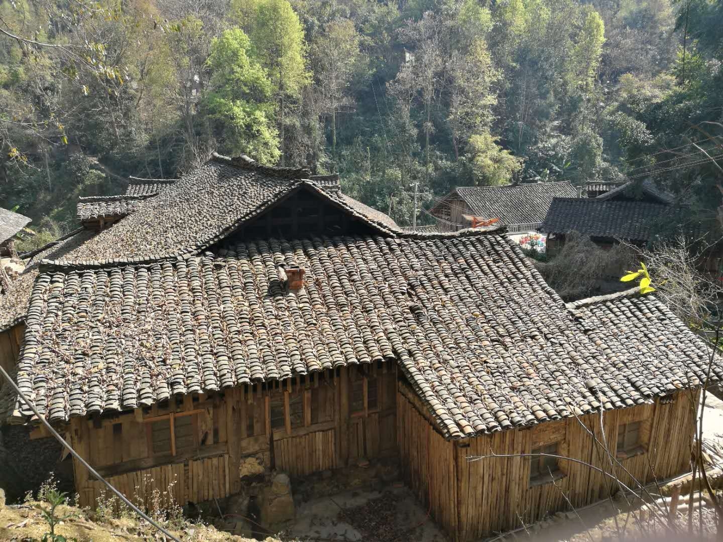 花海古镇畅游—罗平 兴义五日游