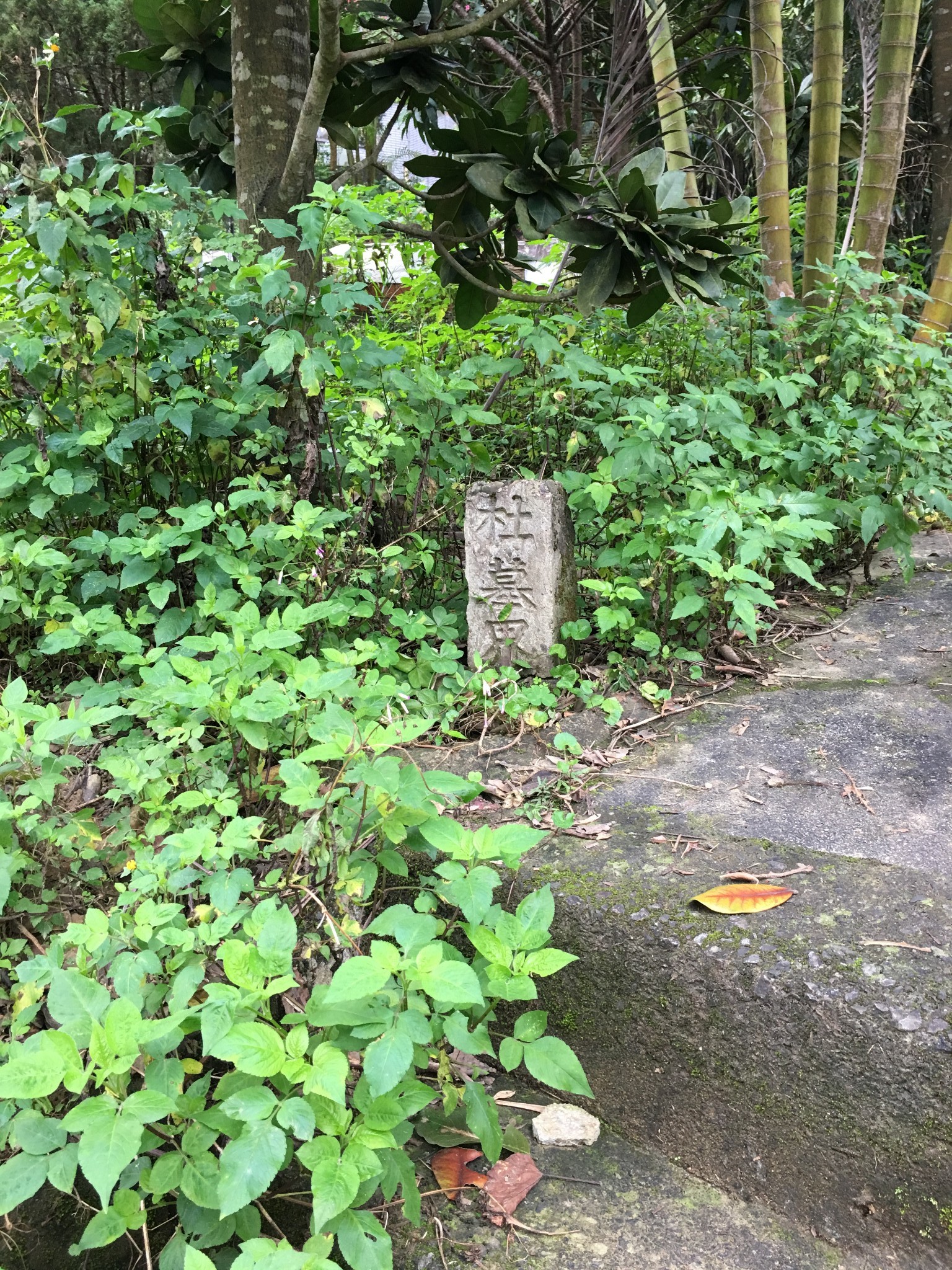 上海嘉定西云楼杜月笙先生旧居的前世今生