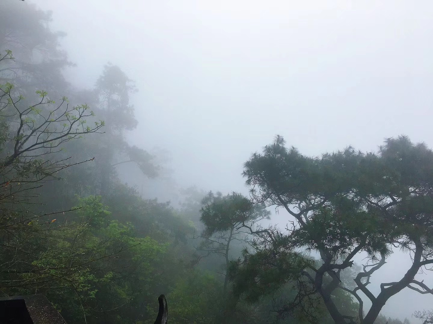 慢步贵港——集团福利之百人游