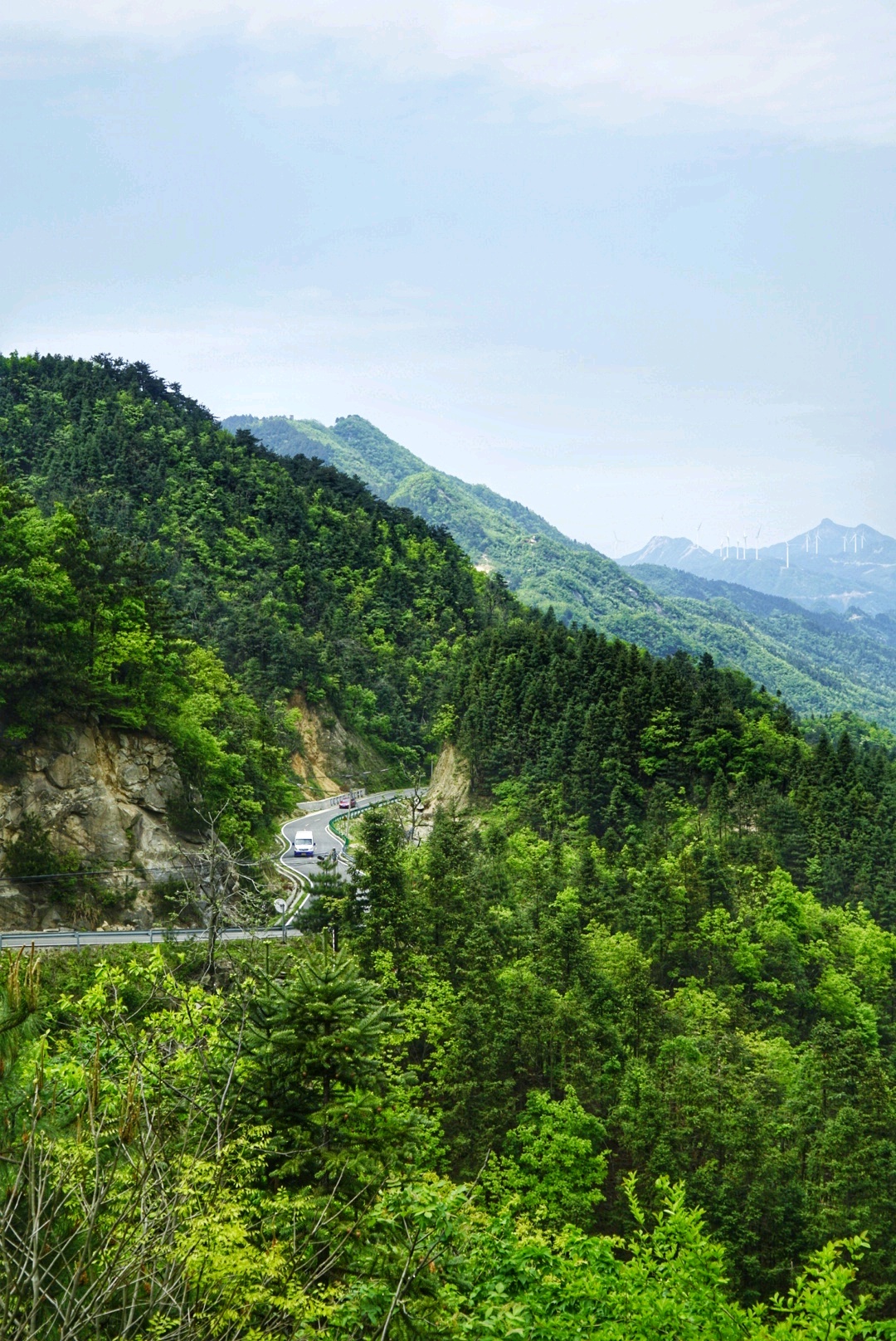 【金寨景点图片】马鬃岭自然保护区