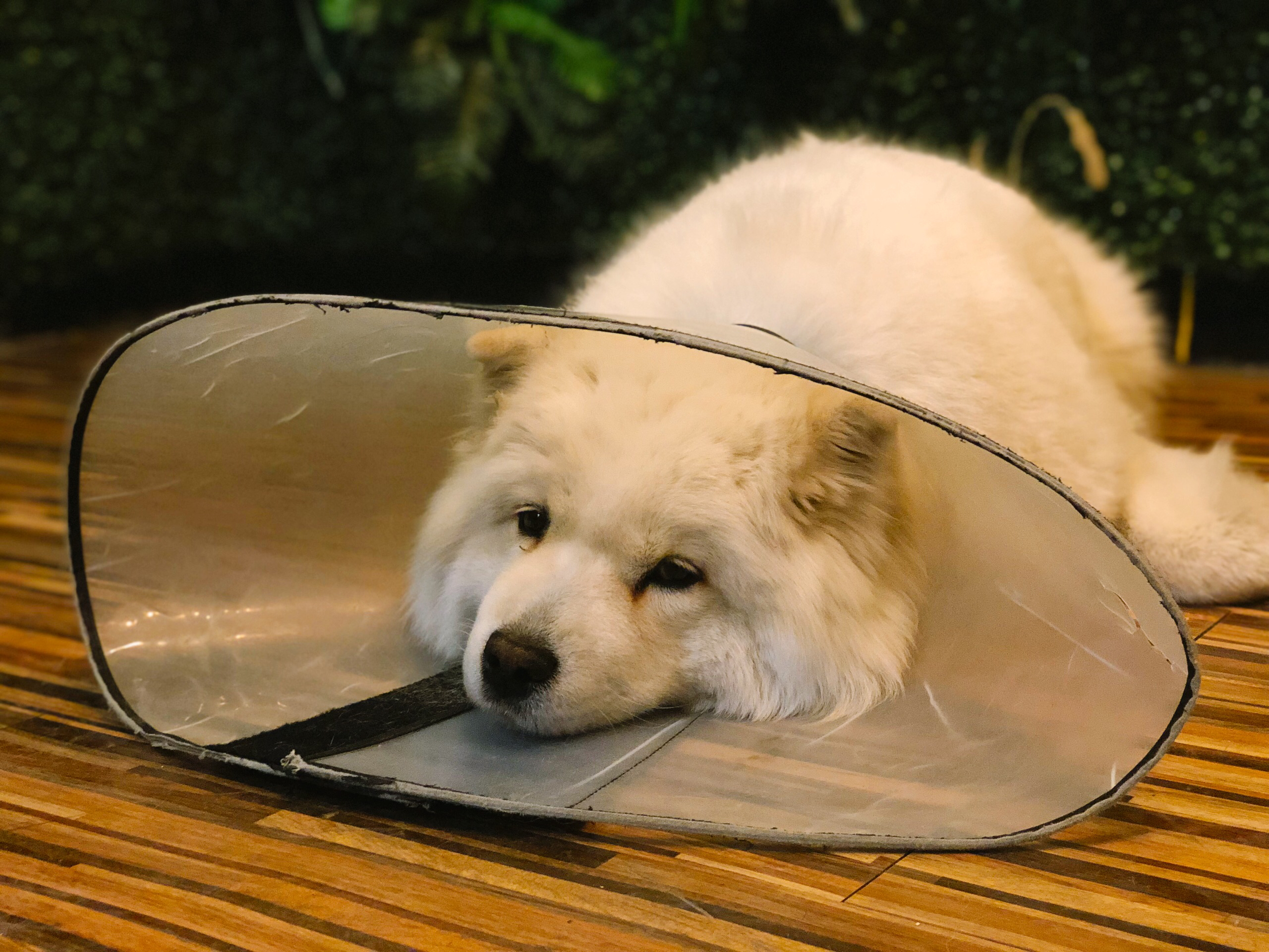 北京娱乐-203真人密室逃脱VR体验馆