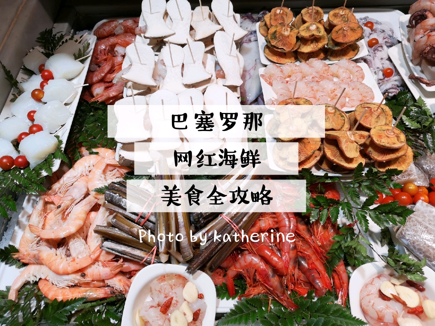 巴塞罗那美食-Vinitus