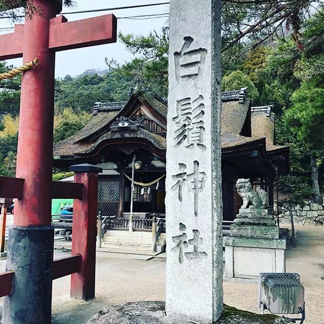 潜派旅行