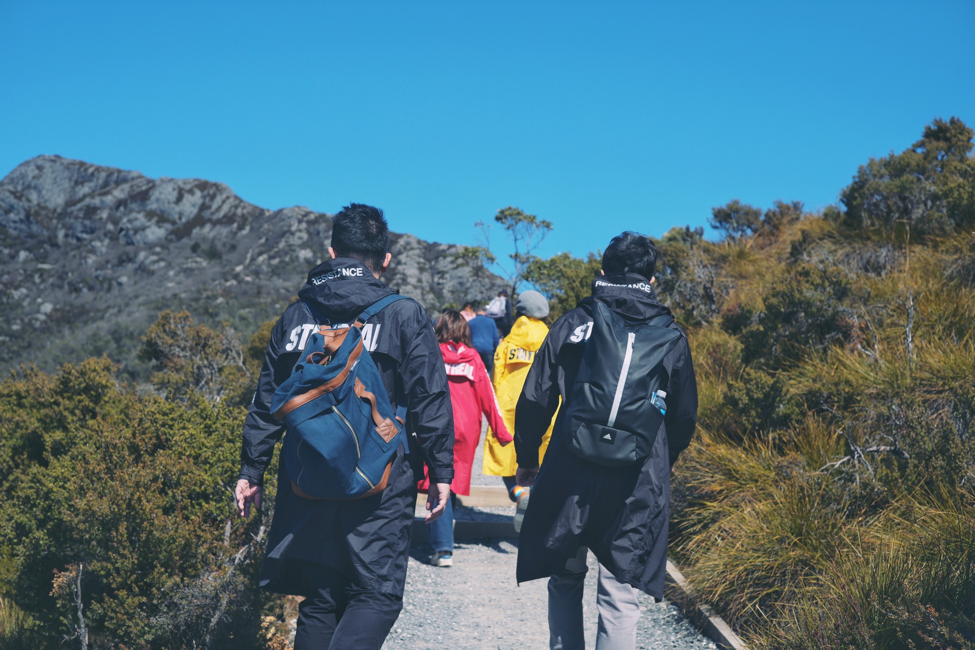 2019年国庆8天二刷非一般塔斯马尼亚大冒险—（朗塞斯顿、摇篮山、Maria Island等）_游记