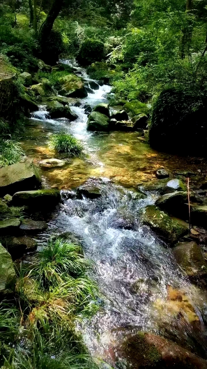 美丽而安静的湘西小溪之旅,永顺自助游攻略 马蜂窝
