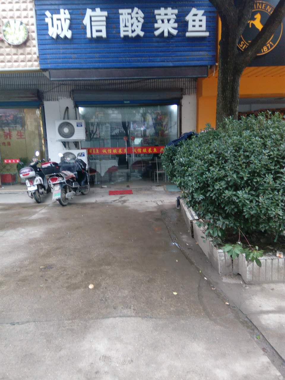 南京美食-诚信酸菜鱼