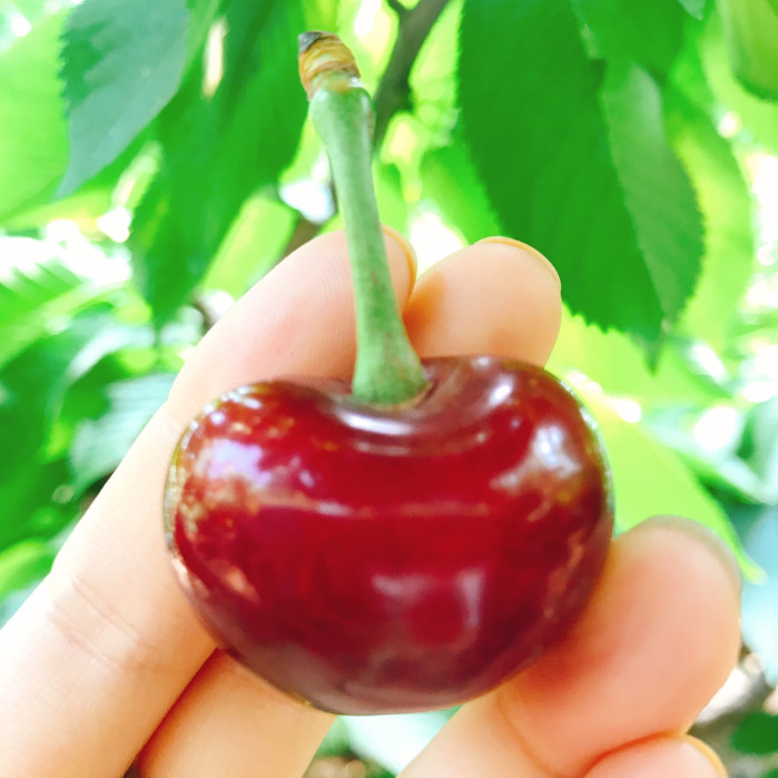 大连什么时候去最好