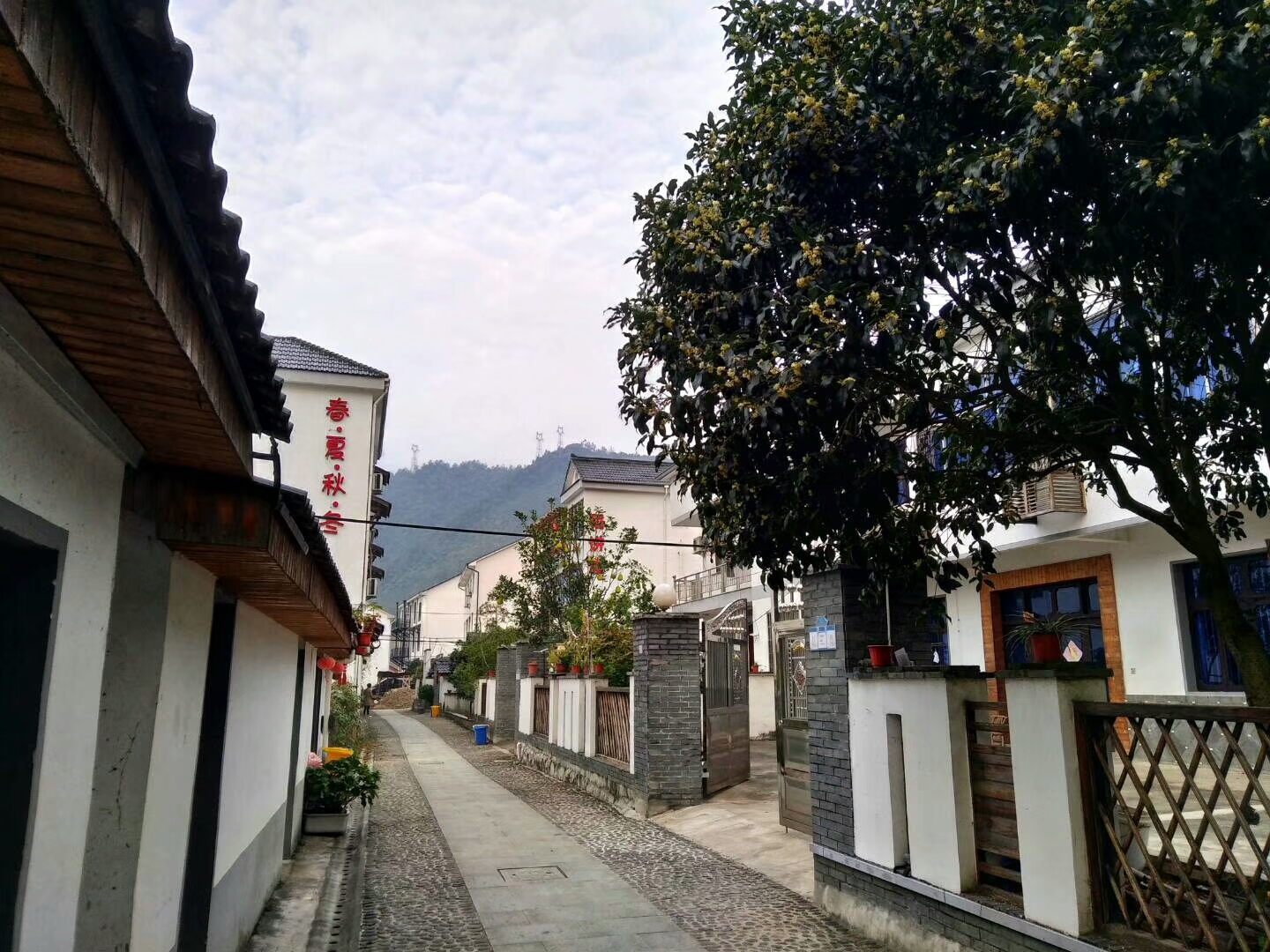 游走小众的桐庐(大路,合岭,母岭,莪山等)