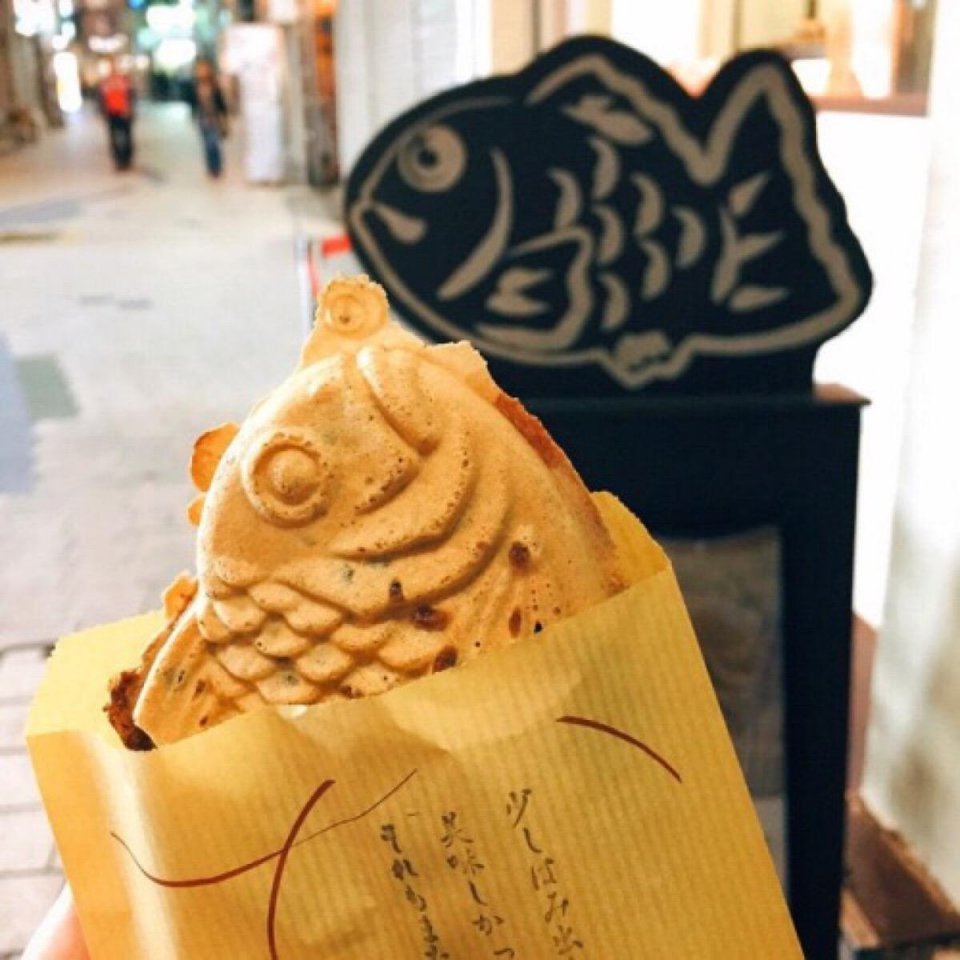 潜派旅行