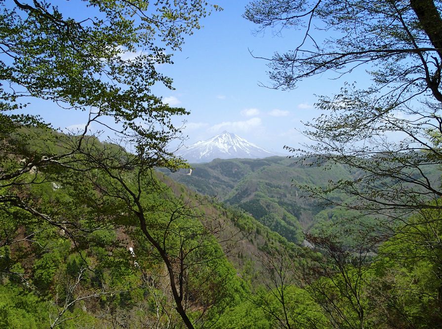 潜派旅行