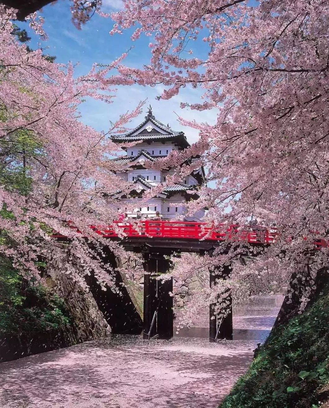 潜派旅行