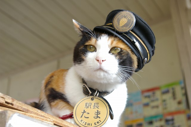 潜派旅行