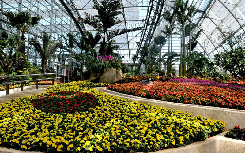 满园春色关不住 重庆南山植物园景区门票 温室票( 出票快 保证入园)