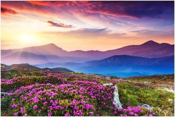 【金阳县景点图片】春阳泉风景区