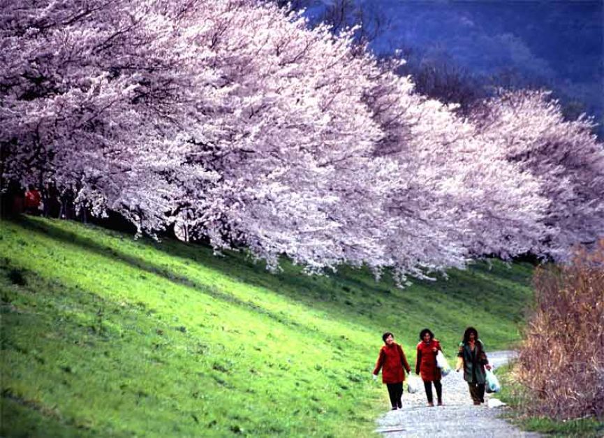 潜派旅行