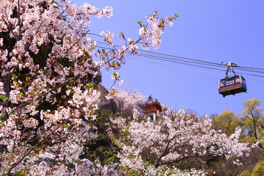 潜派旅行