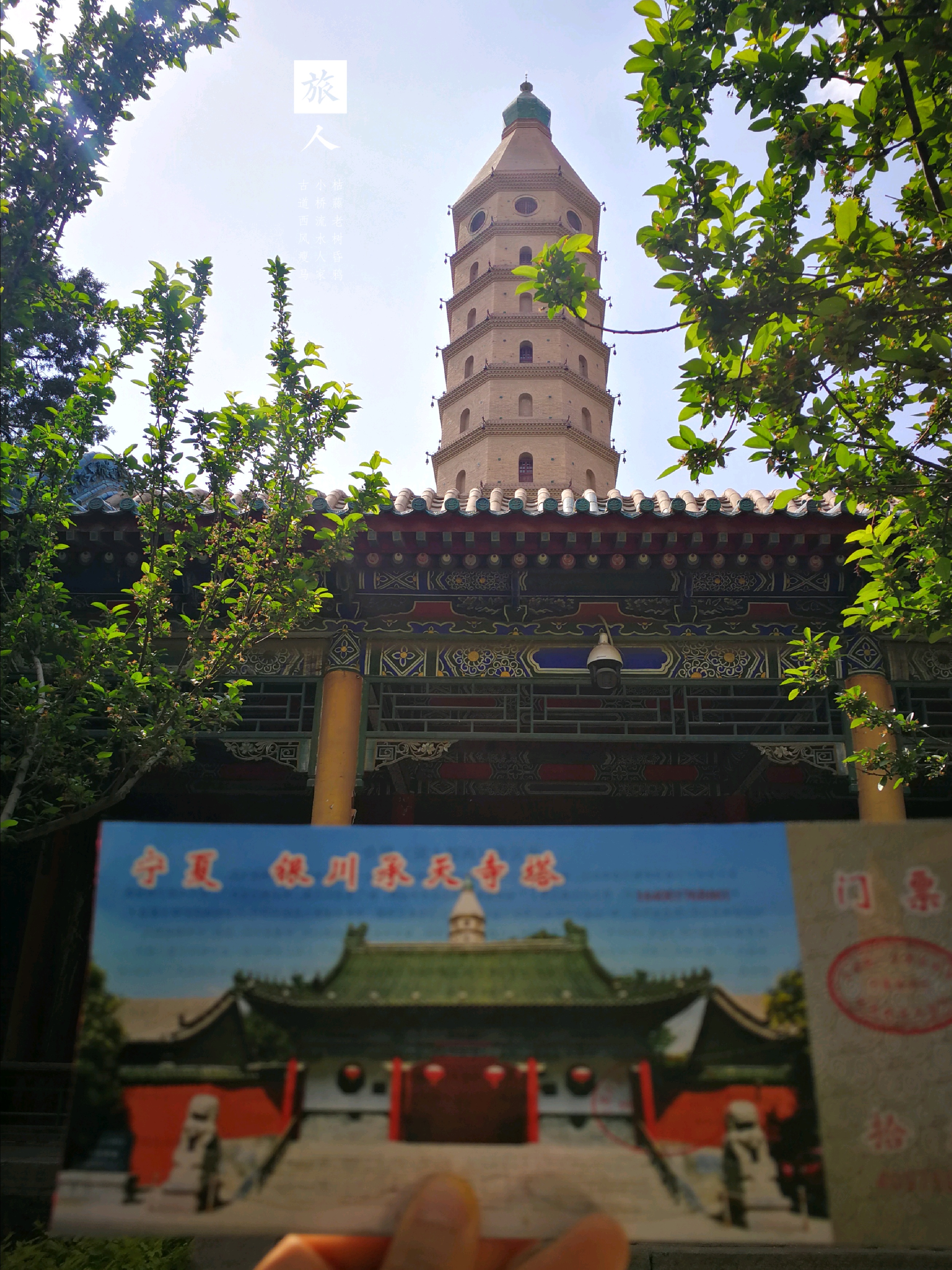 【银川景点图片】承天寺