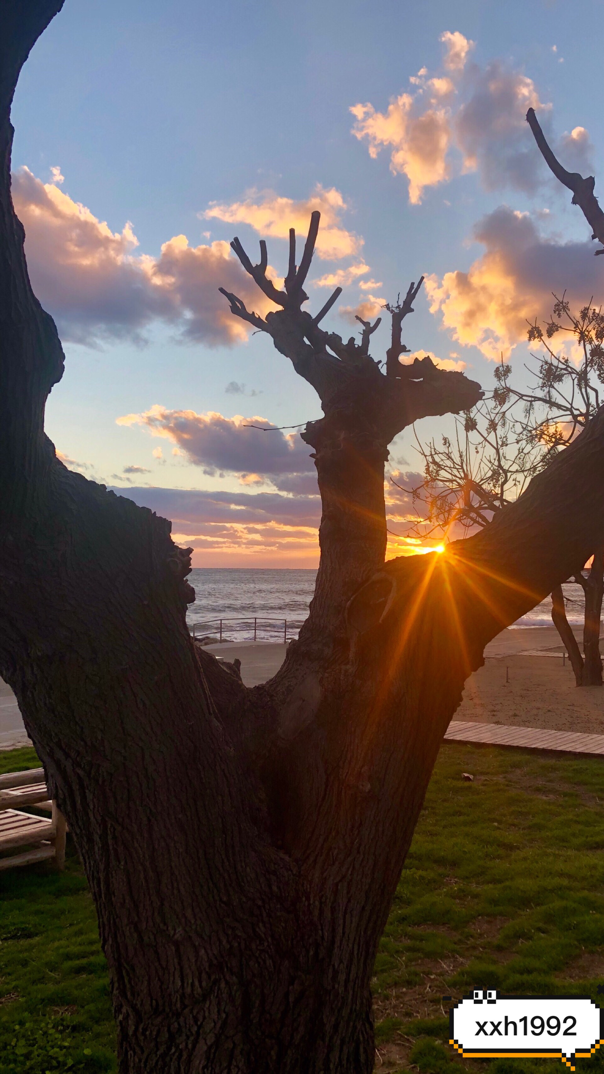 塞浦路斯娱乐-Paphos Municipal Beach