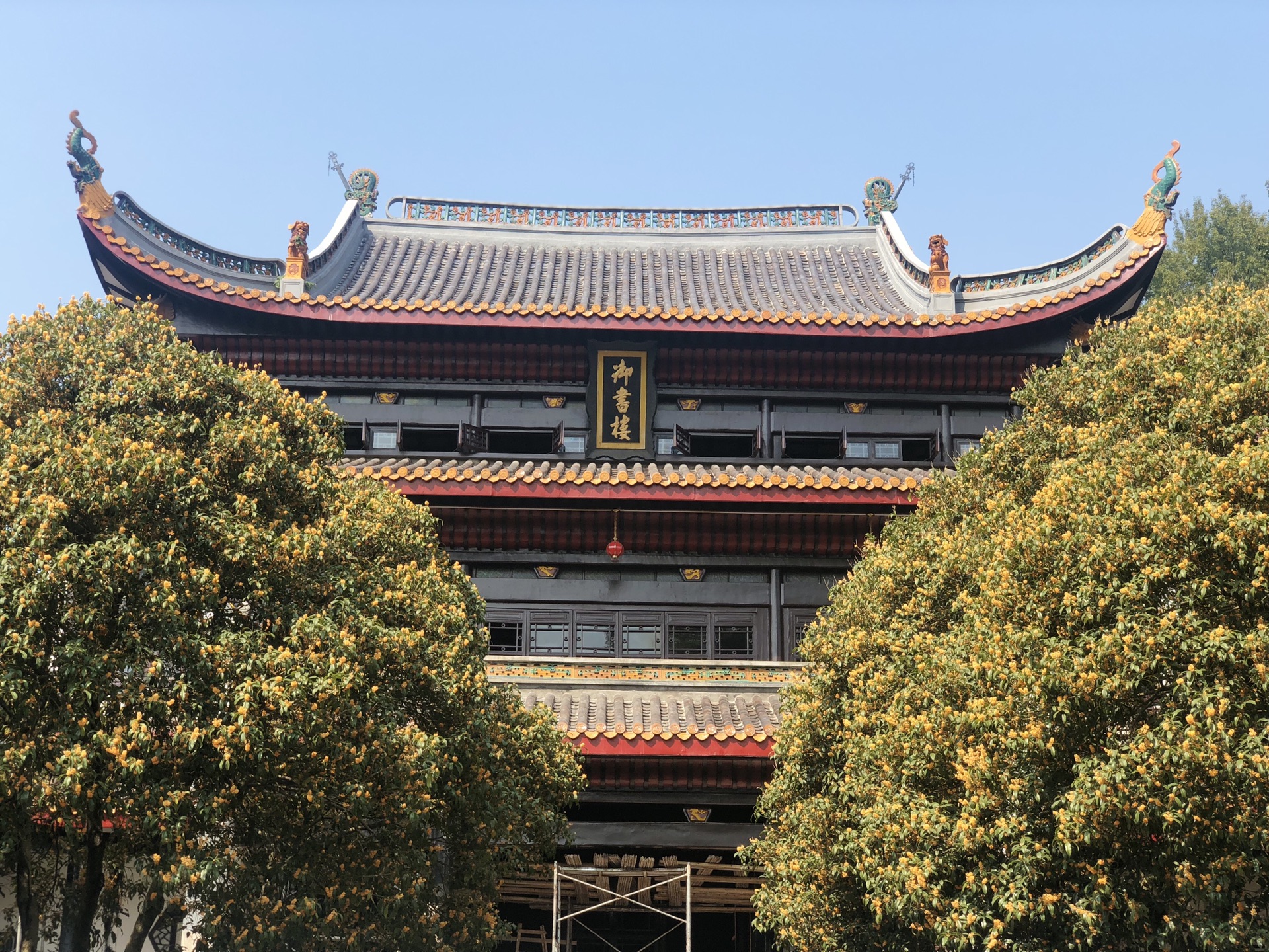 wKgEaVyYQAGADZelABH0CbeGPNg65.jpeg?imageView2%2F2%2Fw%2F680%2Fq%2F90%7CimageMogr2%2Fstrip%2Fquality%2F90