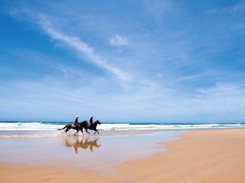 新南威尔士娱乐-Worimi National Park