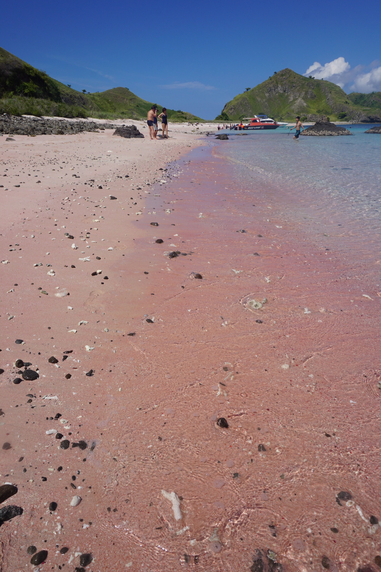 【印尼】「科莫多島」珊瑚粉色沙灘超夢幻！彷彿童話裡搬出來的世外桃源，碧藍海水與絕美海底世界，圓妳一個最浪漫的海島夢！ - 好想去喔